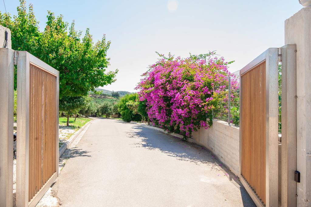 Villa Prigipessa Agia Marina  Exterior photo